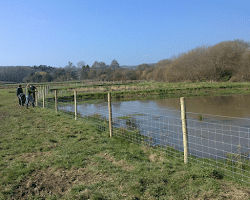 Fencing Around Pond